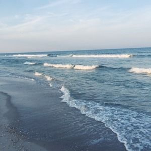 Meet your Posher, Sydney